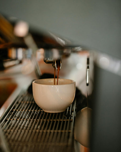 The Espresso Edit: Everything You Need to Know